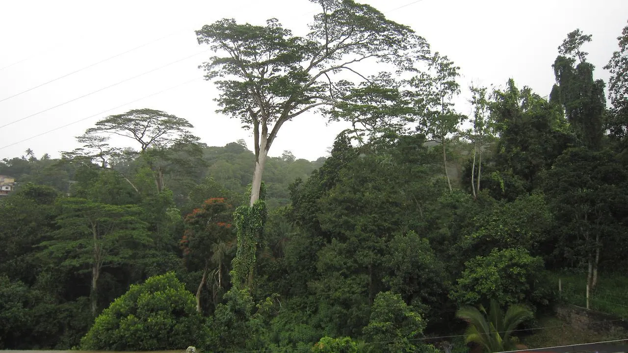 Bed & Breakfast Bethel Rest Homestay Kandy